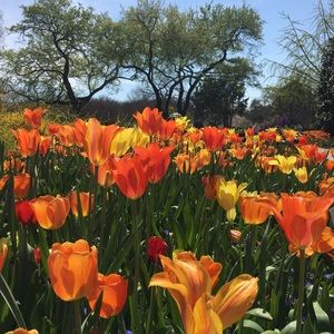 Meet your Posher, Ali